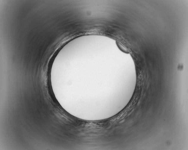 X0000103470290200810031526