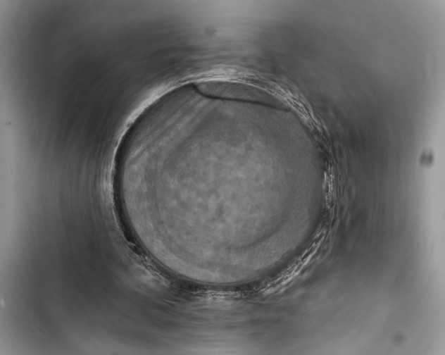 X0000103470292200810031526