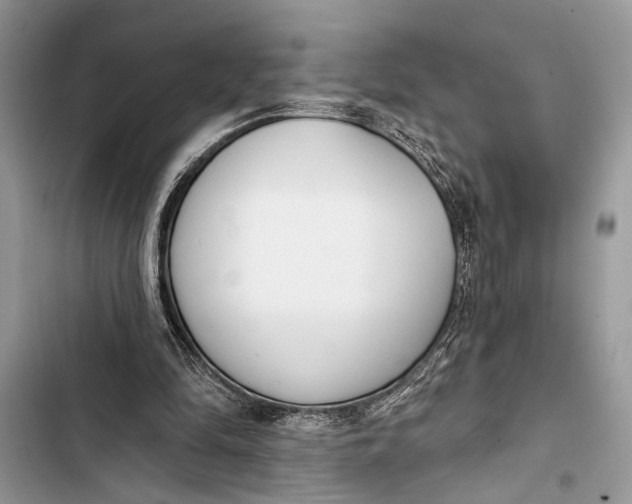 X0000103470294200810031526