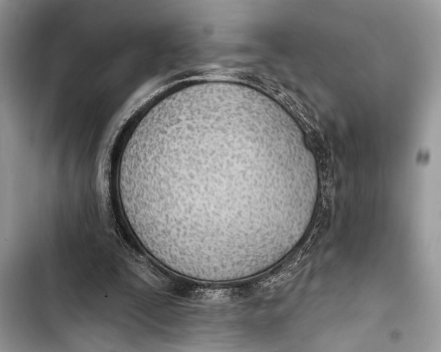 X0000103470295200810031526