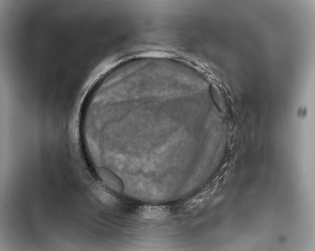 X0000103470296200810031526