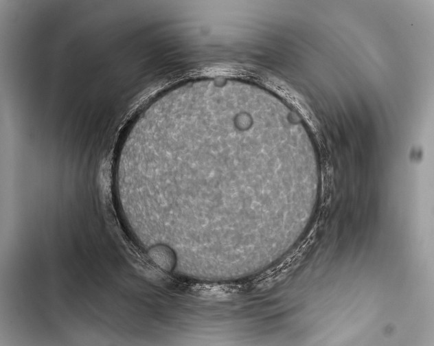 X0000103470297200810031526