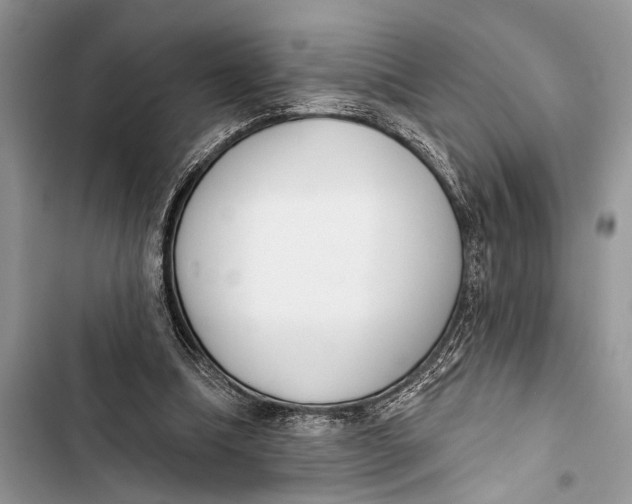 X0000103470298200810031526