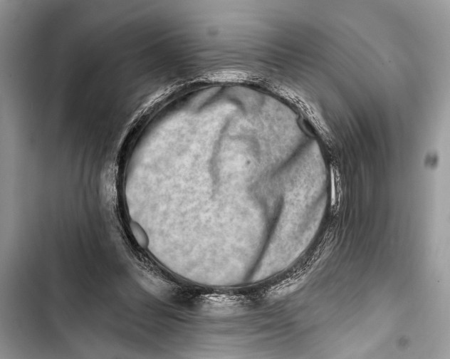 X0000103470300200810031526