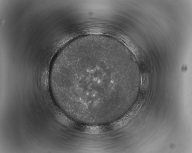 X0000103470301200810031526
