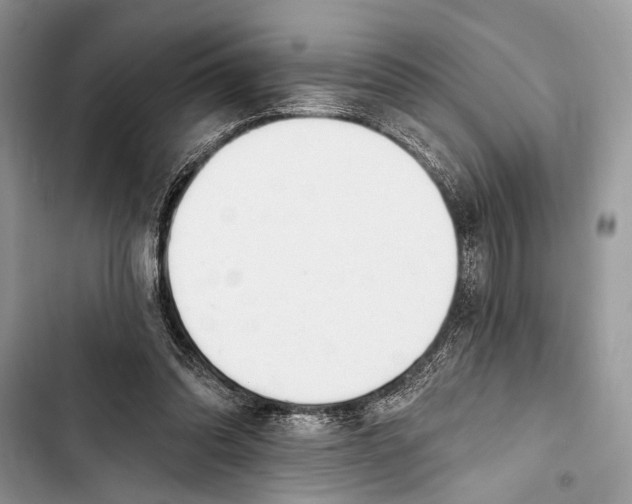 X0000103470302200810031526