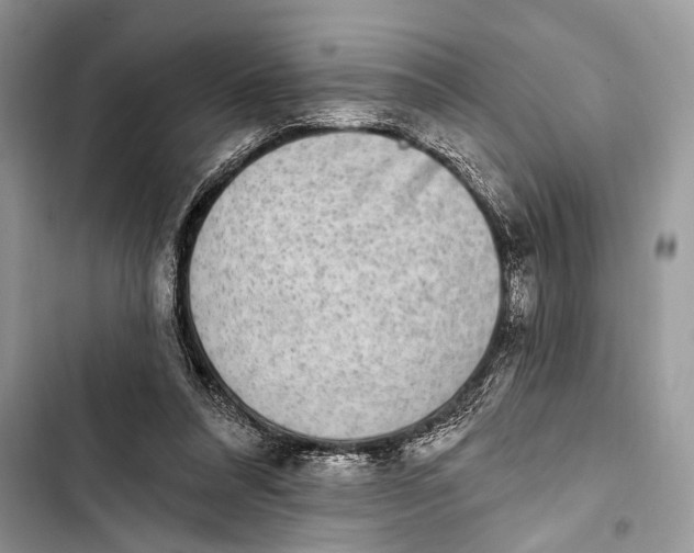 X0000103470304200810031526