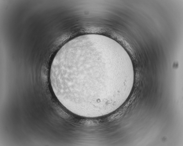 X0000103470305200810031526