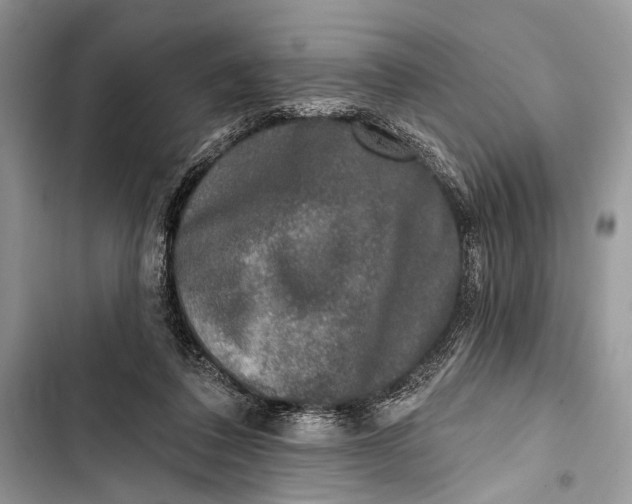 X0000103470308200810031526
