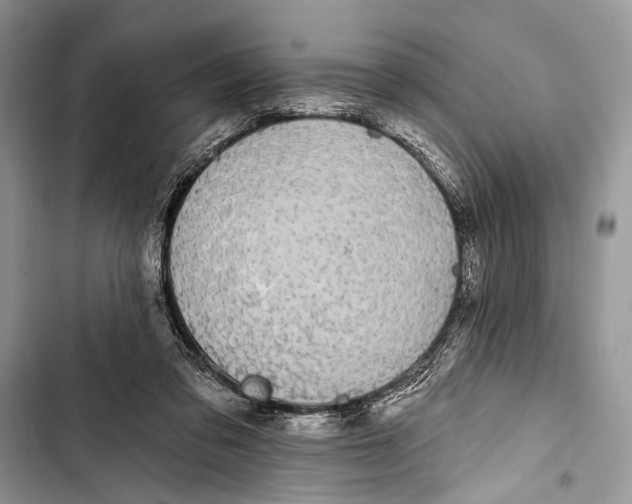 X0000103470309200810031526