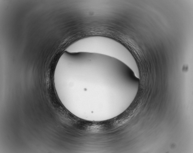 X0000103470312200810031526