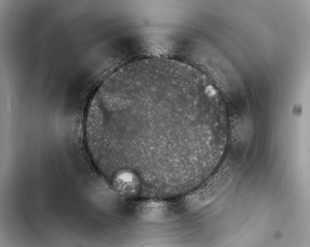 X0000103470313200810031526