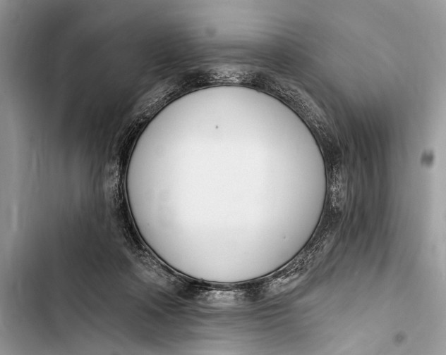 X0000103470314200810031526