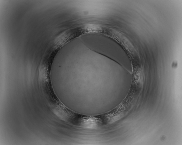 X0000103470316200810031526