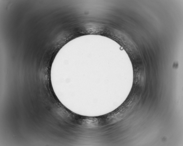 X0000103470317200810031526