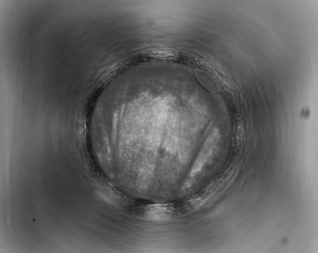 X0000103470320200810031526