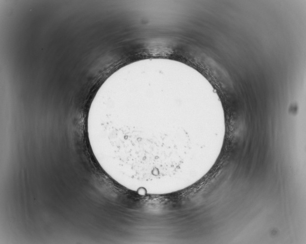 X0000103470321200810031526