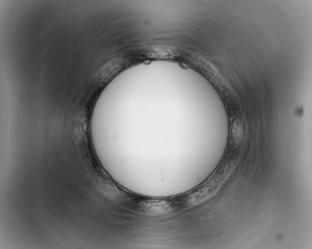 X0000103470322200810031526
