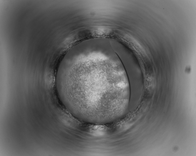 X0000103470324200810031526