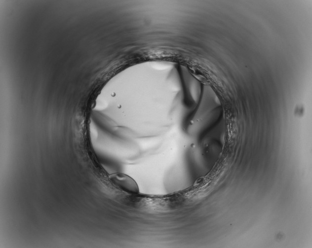 X0000103470327200810031526