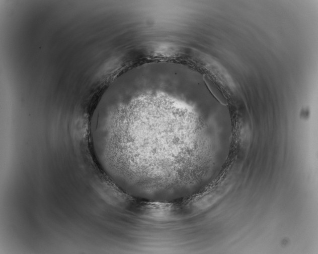 X0000103470328200810031526