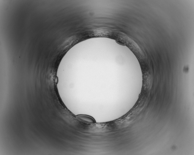 X0000103470329200810031526