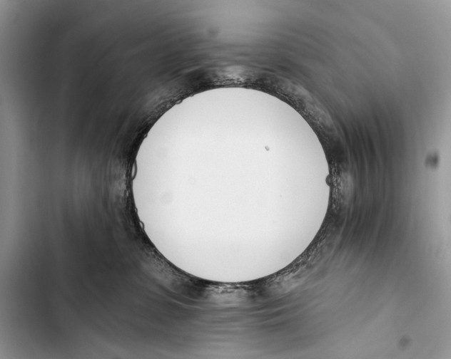 X0000103470331200810031526