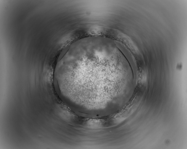X0000103470332200810031526