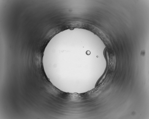 X0000103470333200810031526