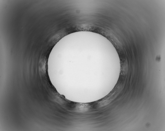 X0000103470334200810031526