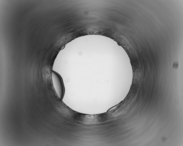 X0000103470335200810031526