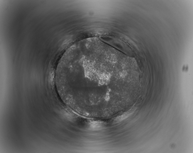 X0000103470336200810031526