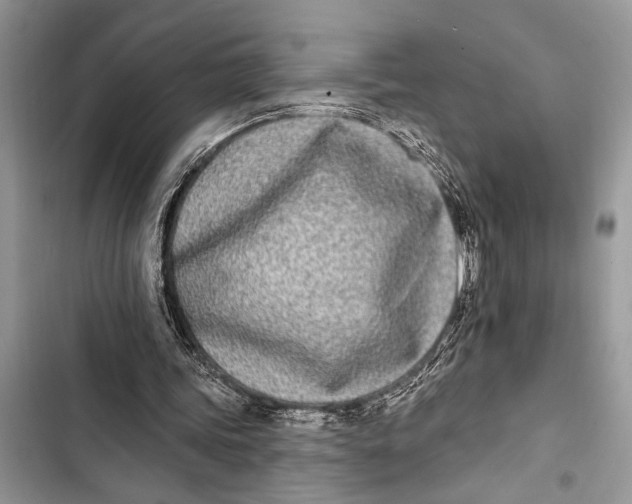X0000103470339200810031525