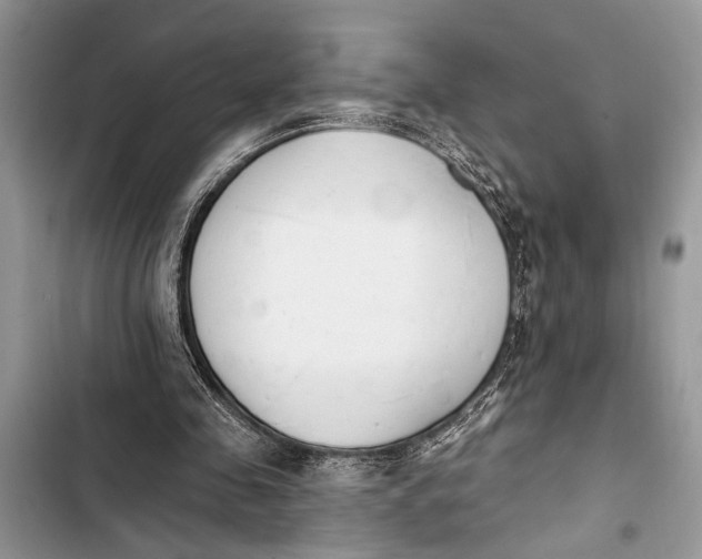 X0000103470341200810031525