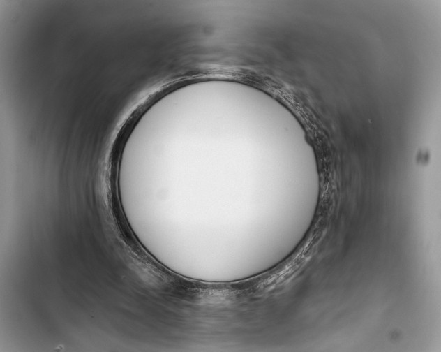 X0000103470342200810031525