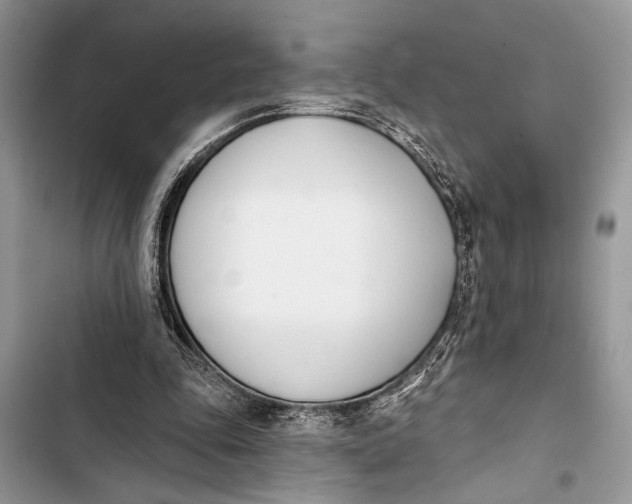 X0000103470343200810031525