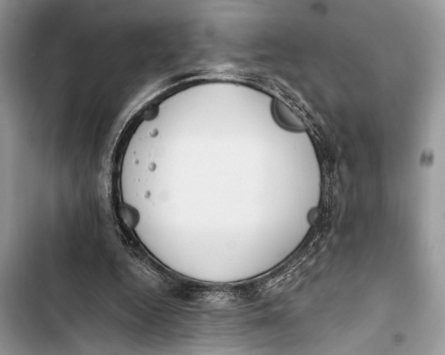X0000103470344200810031525