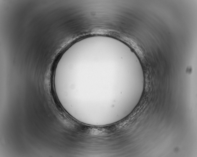 X0000103470346200810031525