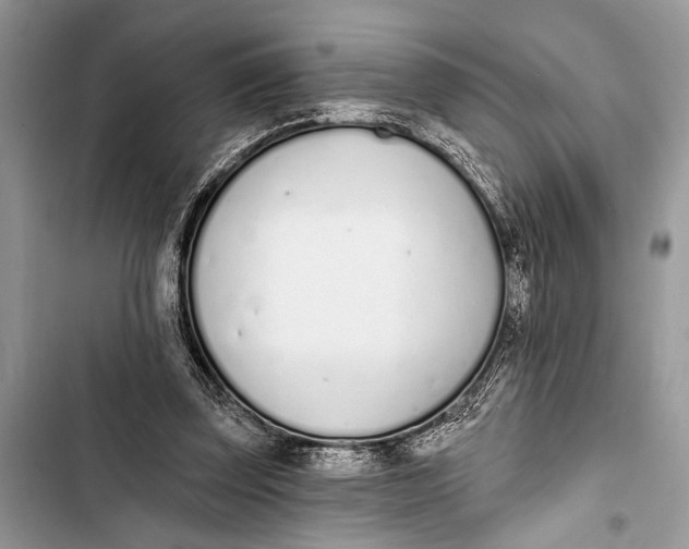 X0000103470347200810031525