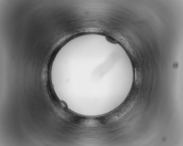 X0000103470348200810031525