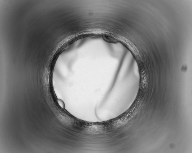 X0000103470350200810031525