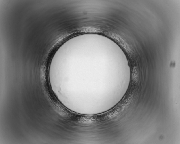 X0000103470351200810031525