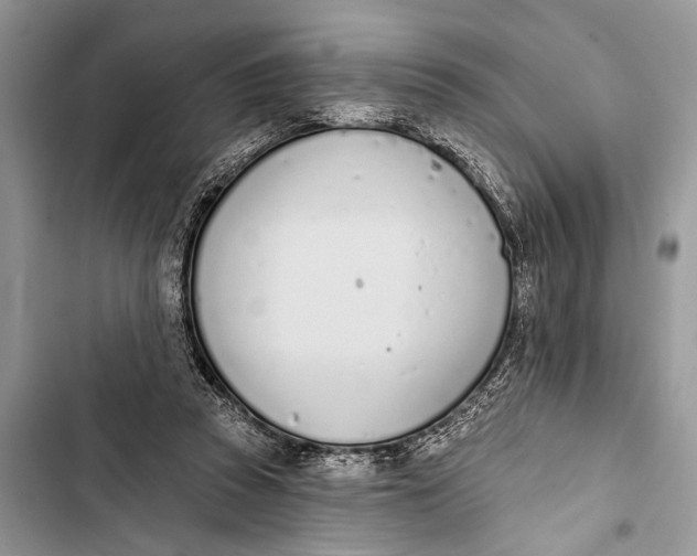 X0000103470353200810031525