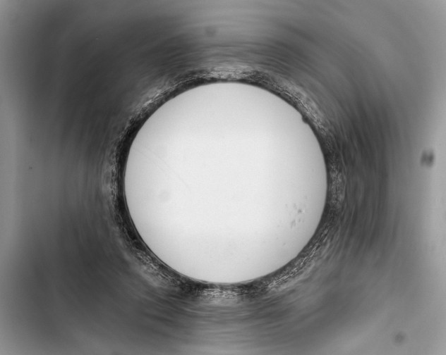 X0000103470354200810031525