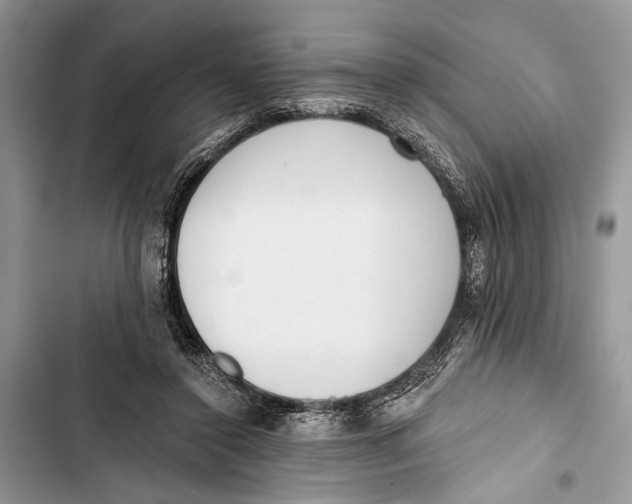 X0000103470356200810031525