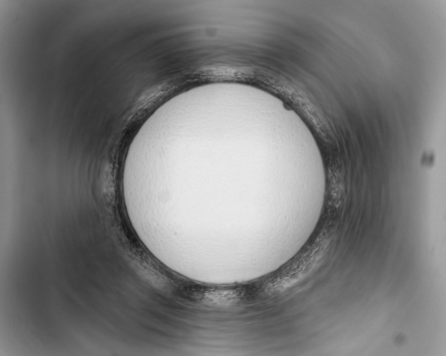 X0000103470357200810031525
