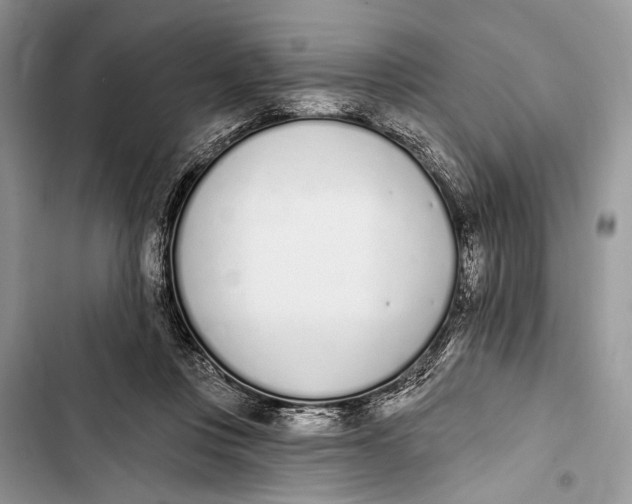 X0000103470359200810031525