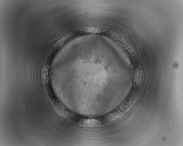 X0000103470360200810031525