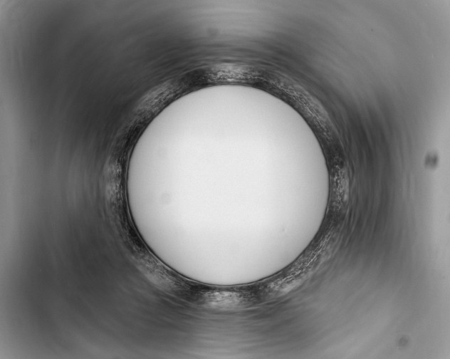 X0000103470361200810031525