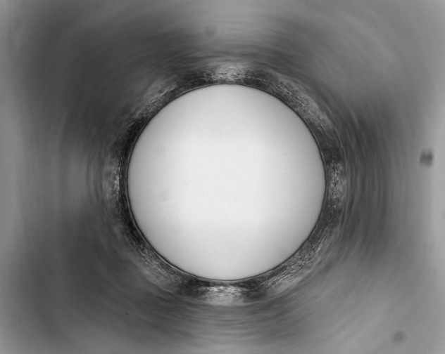 X0000103470363200810031525